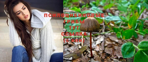 гашик Абинск