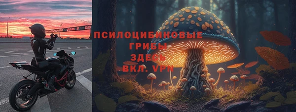 гашик Абинск