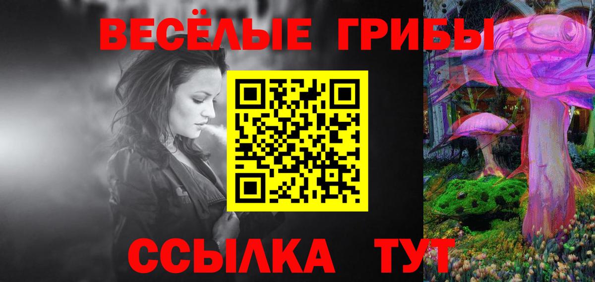 Псилоцибиновые грибы мицелий  Вход с VPN  Рассказово  Псилоцибиновые грибы Psilocybine cubensis 